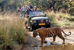 Mount Abu Day Tour 